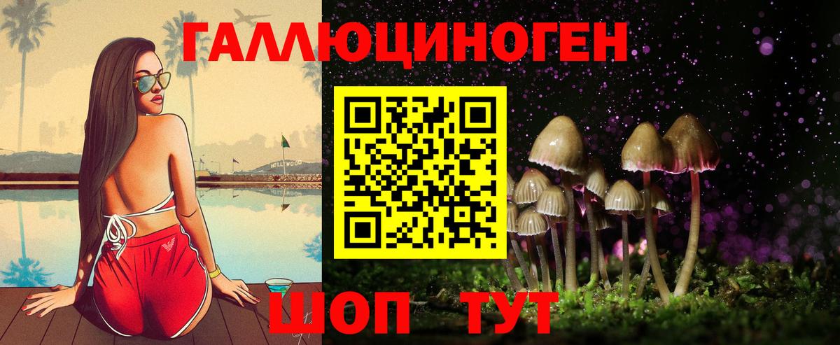 Псилоцибиновые грибы Psilocybe Полевской